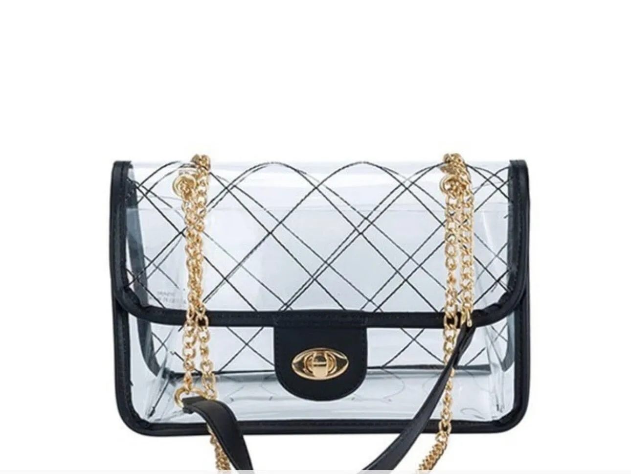 Black Webbed Clear Bag