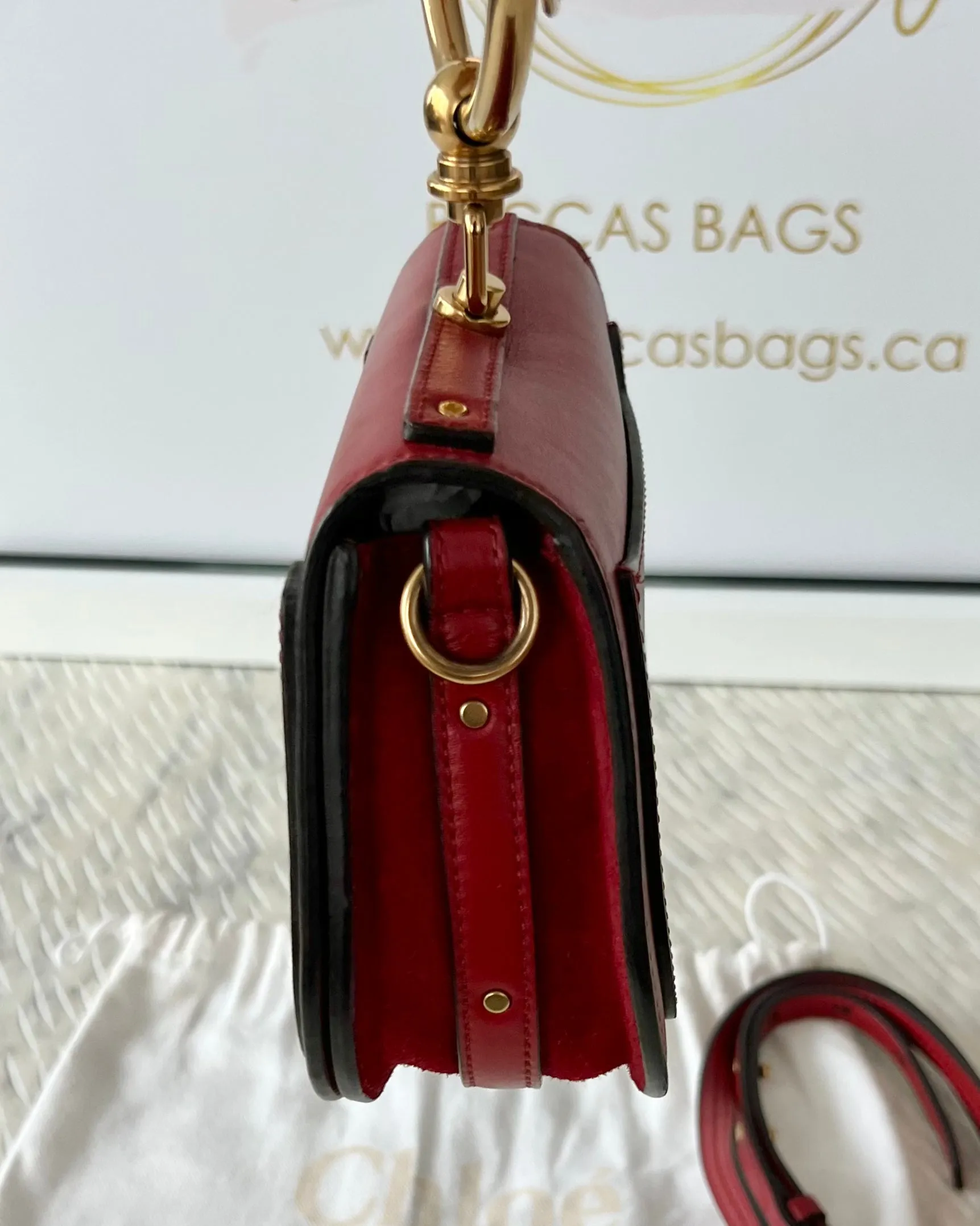 Chloe Nile Bag