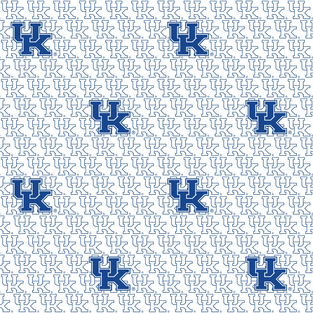 University of Kentucky Zipper Bag