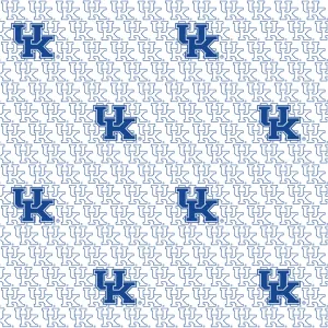 University of Kentucky Zipper Bag